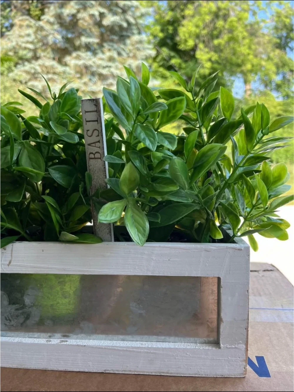 ARTIFICIAL BASIL PLANT IN WOOD AND ALUMINUM PLANTER WITH BASIL STAKE